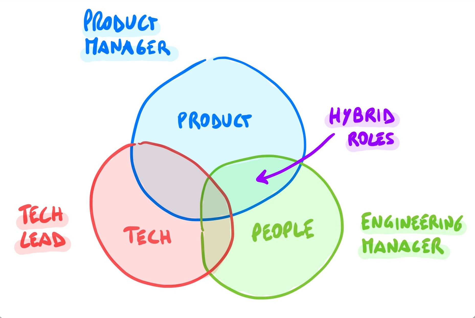 What are the roles and responsibilities of a technical manager