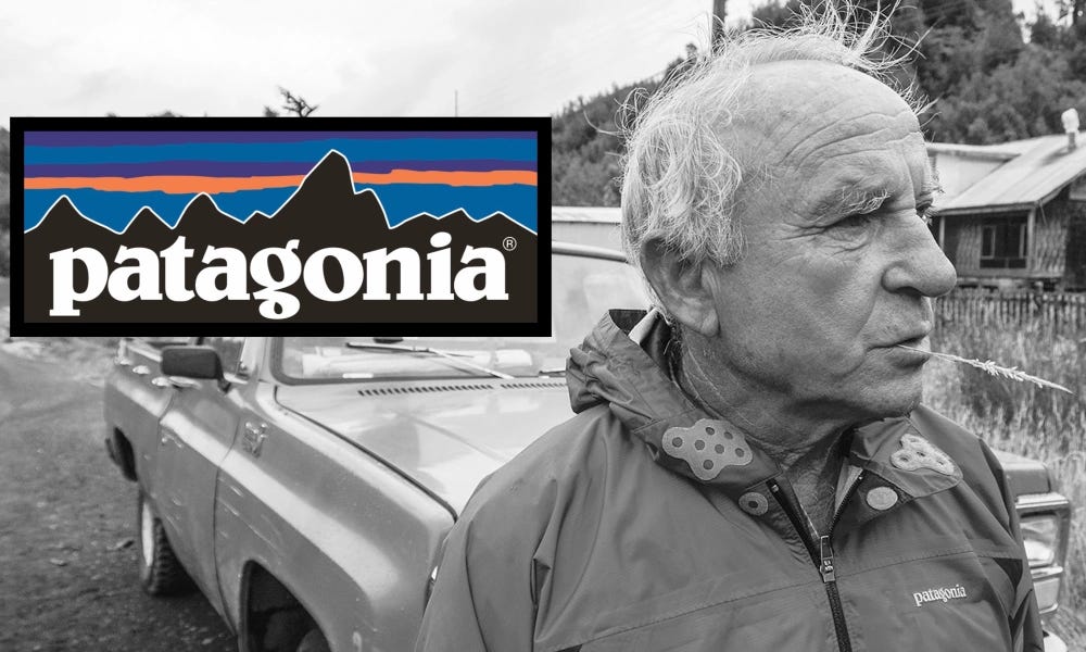 Imagine If There Was Someone Like Patagonia Billionaire