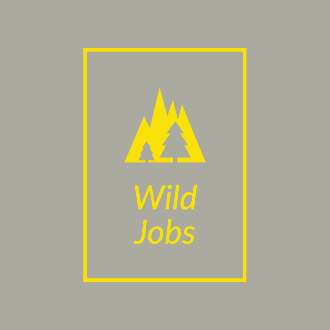 Artwork for Wild Jobs