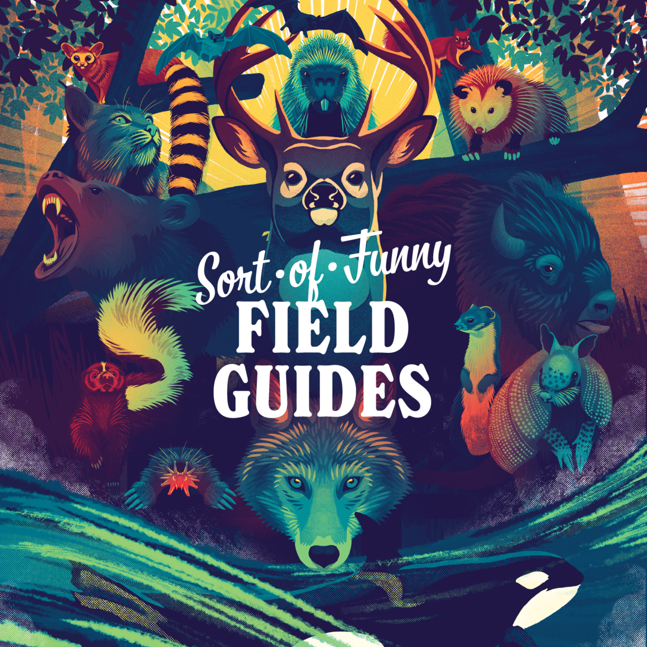 Artwork for Sort Of Funny Field Guides