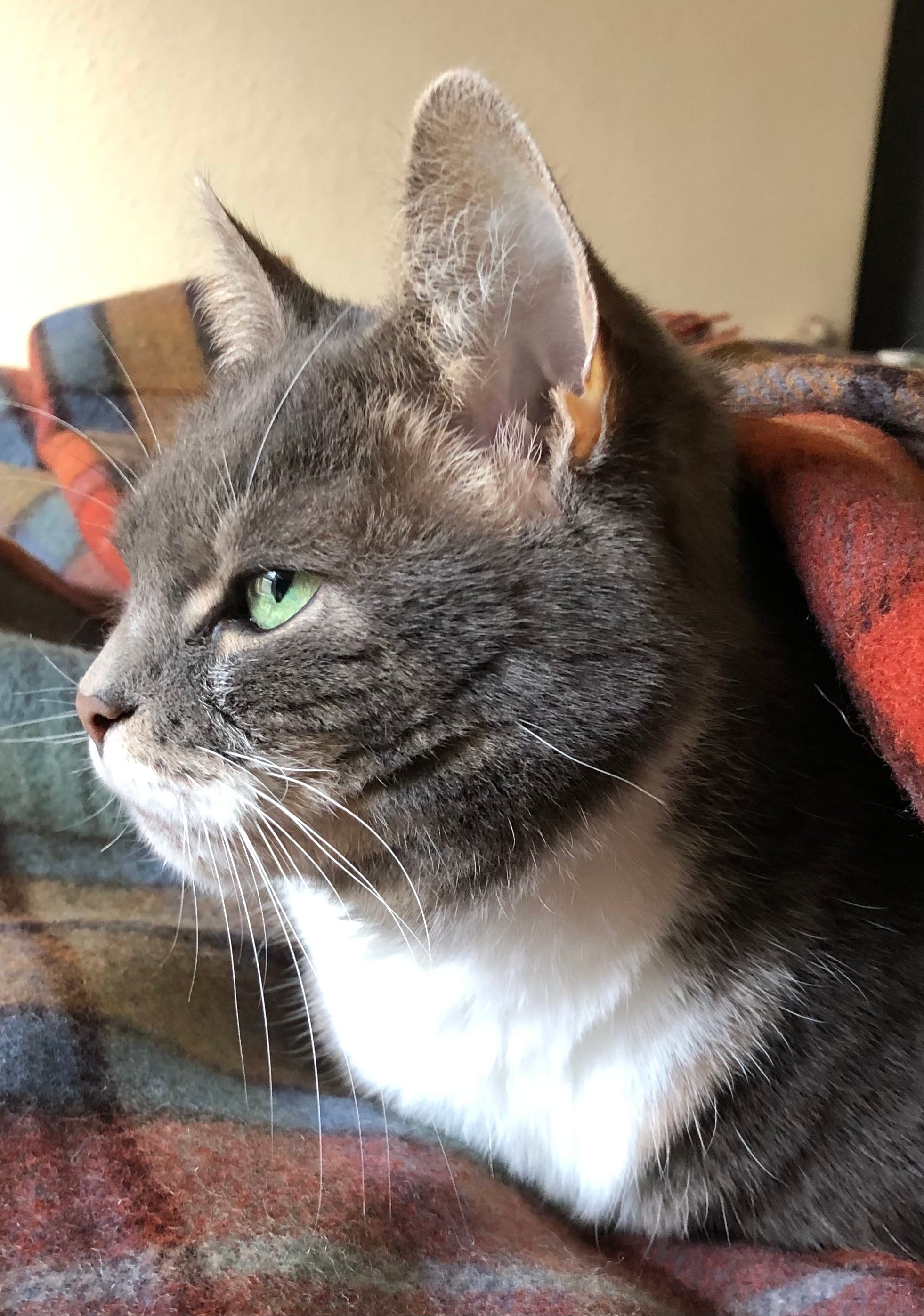 2022 Another Year Done by Gray The Everyday Notes