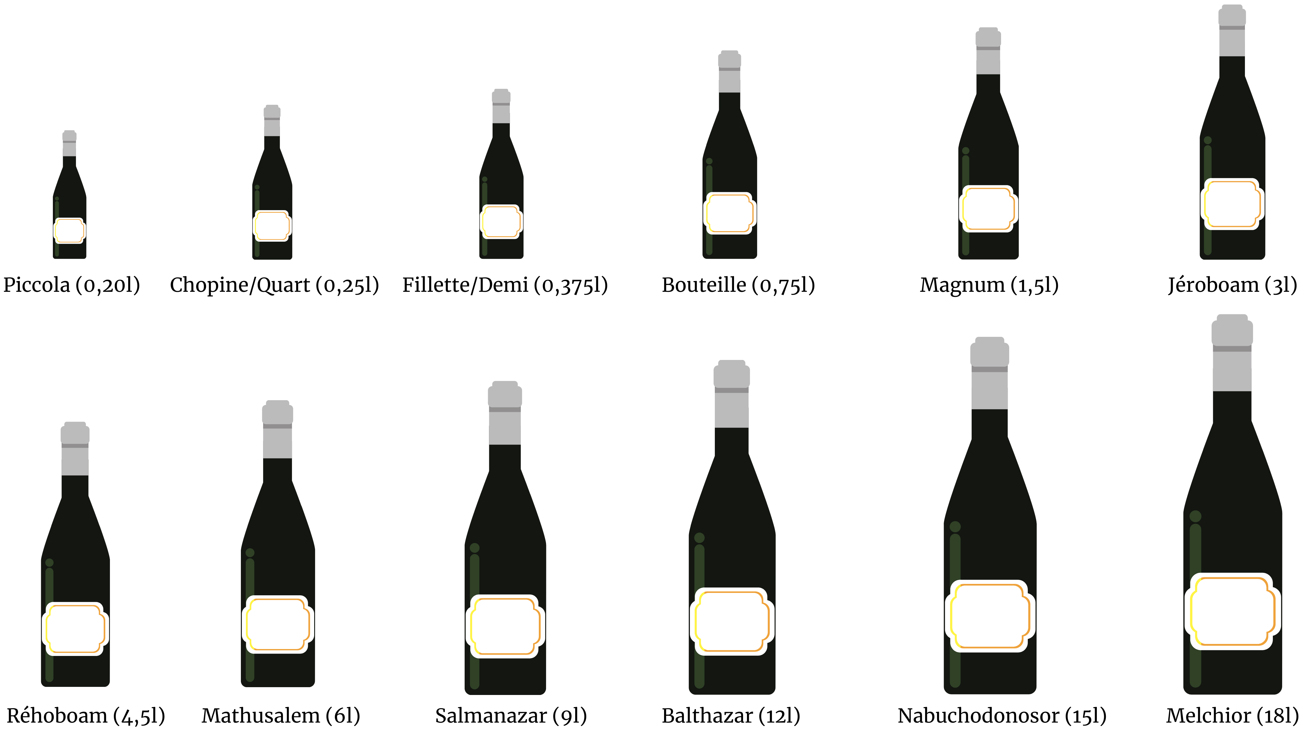Notre guide sur les différentes tailles de bouteilles de vin