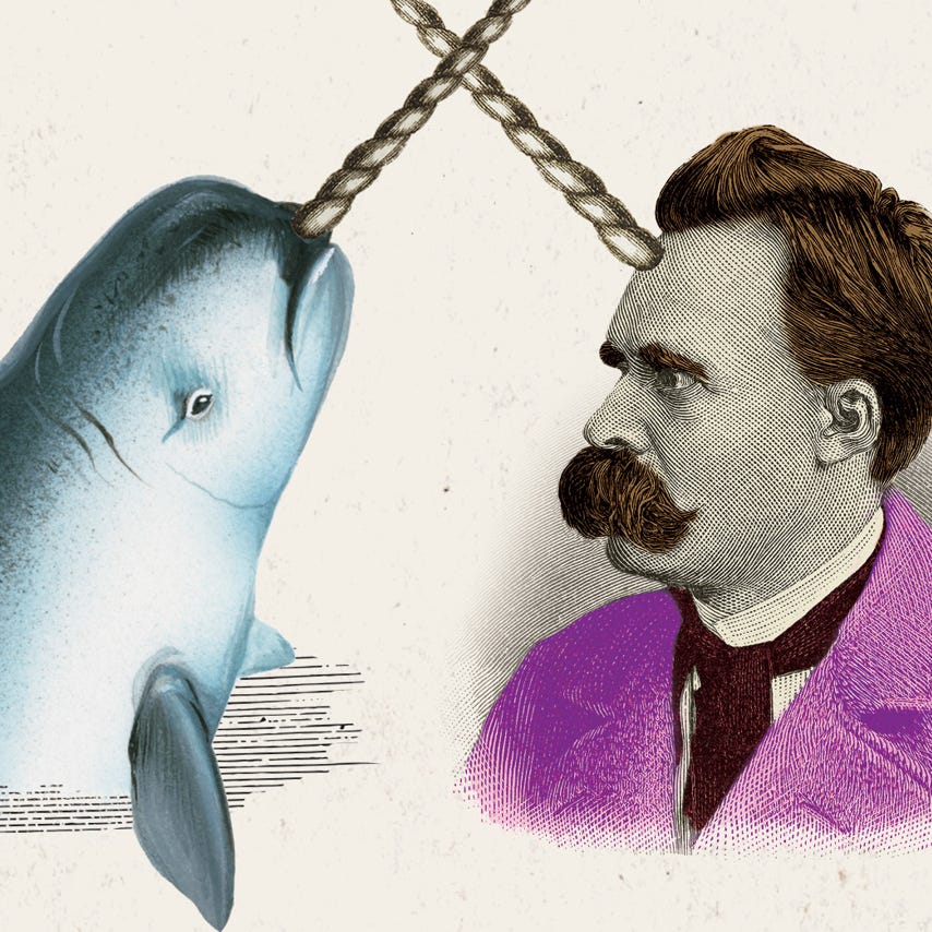Artwork for The Narwhal Diaries