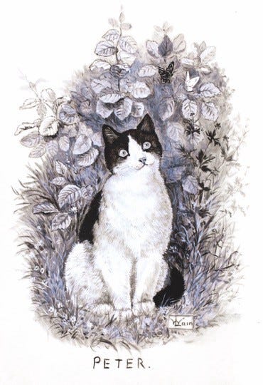 Louis Wain: The artist who changed how we think about cats - BBC News