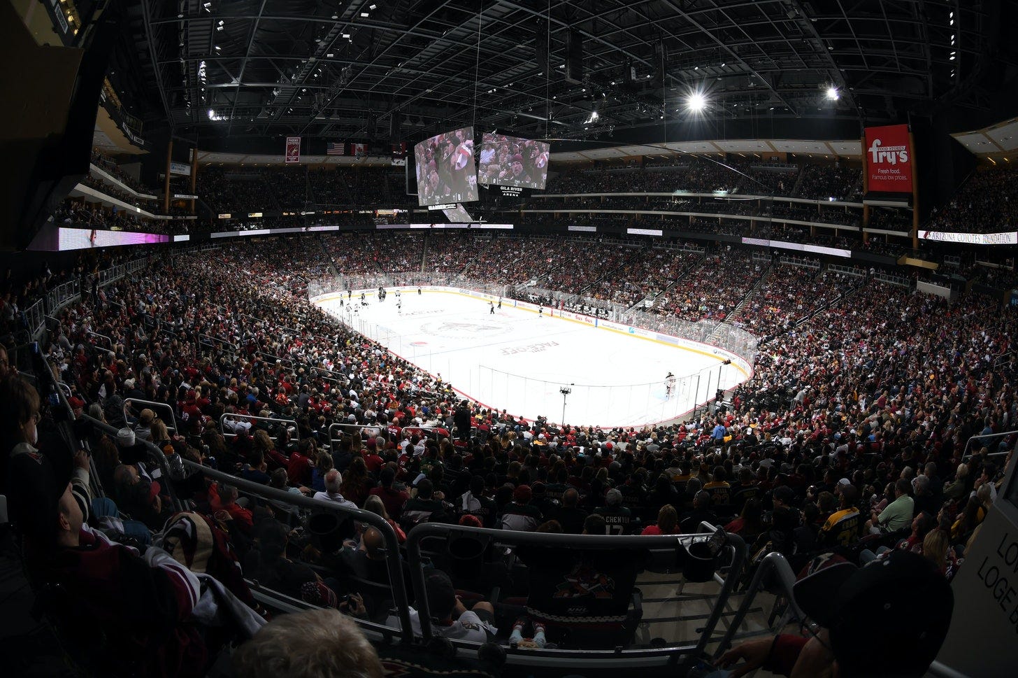 Arizona Coyotes announce 2020-21 opening night roster, taxi squad