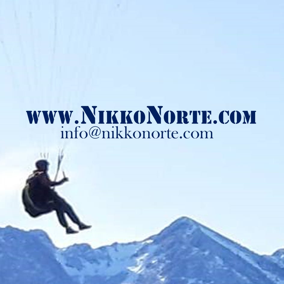 Nikko Norte logo