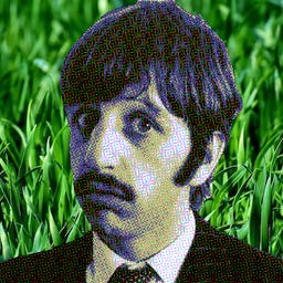 Ringo Dreams of Lawn Care logo