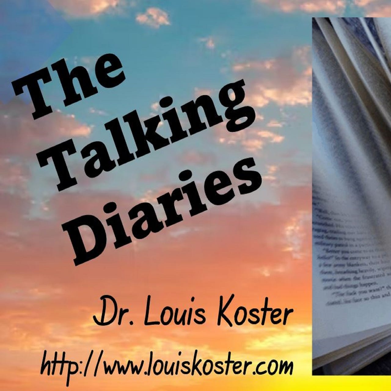 Artwork for Talking Diaries
