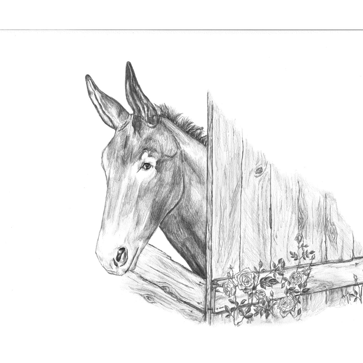 Artwork for Blind Mule Blog