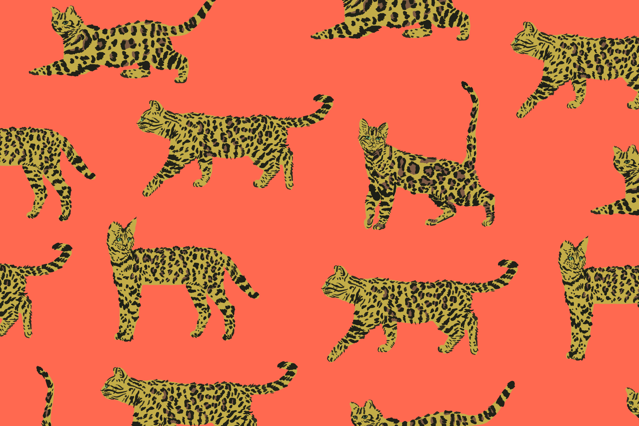 Wallpapers - Baggu