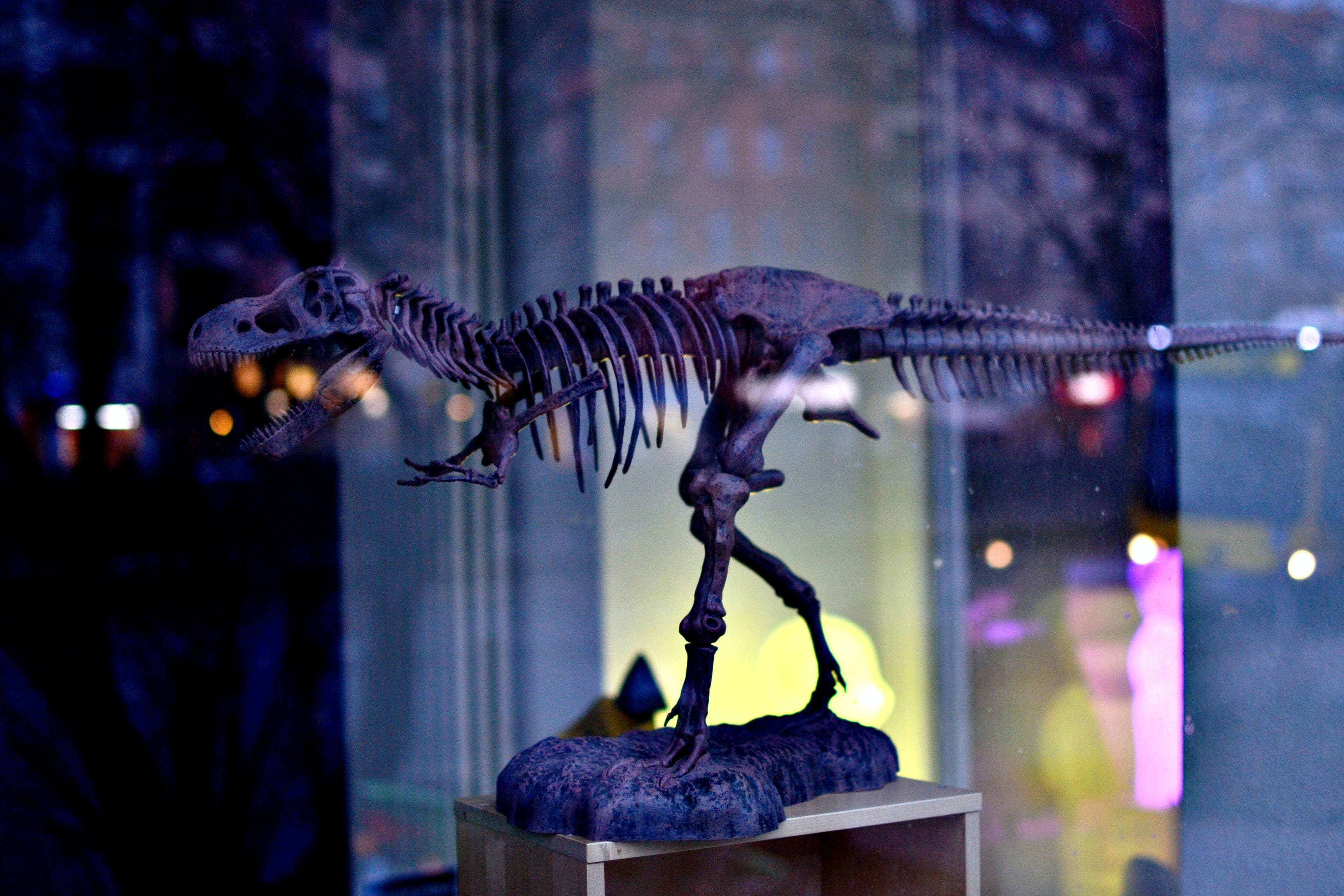 Tiny) Dinosaur Avatar - Skeleton Baby Blue - Roblox