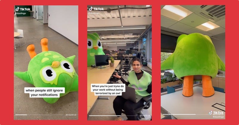 From TikTok and Roblox to 'Game Of Thrones,' how DuoLingo is using trends  for viral marketing