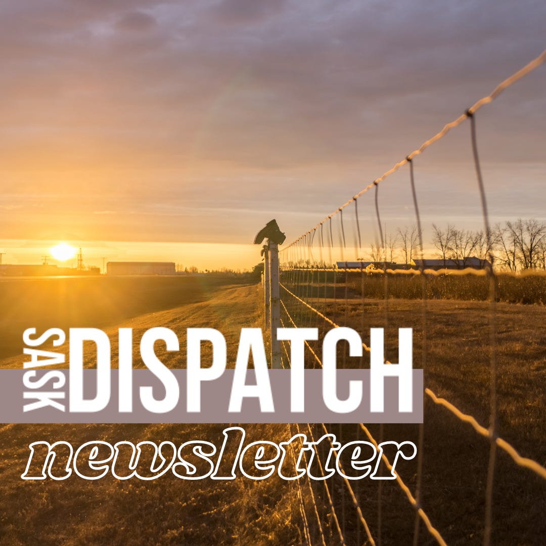 Artwork for Sask Dispatch Newsletter