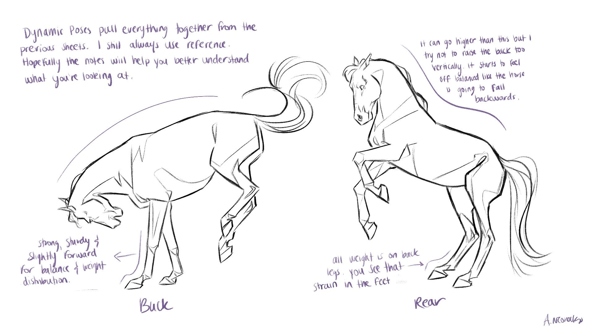 A Gentlewomon and a Scholar — Horse practice sketches