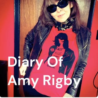 Artwork for Diary Of Amy Rigby