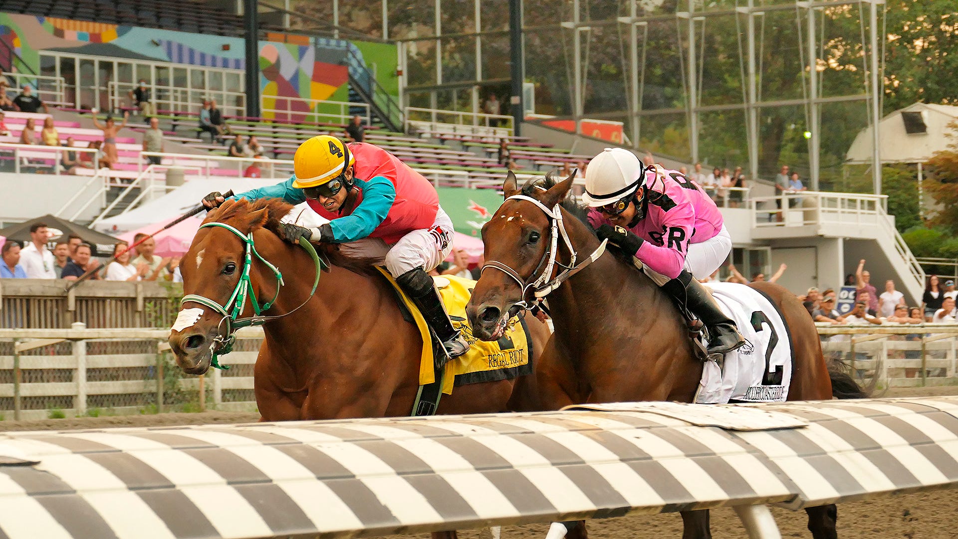 BACK-TO-BACK BC CUP STAKES WINS - Hastings Racecourse