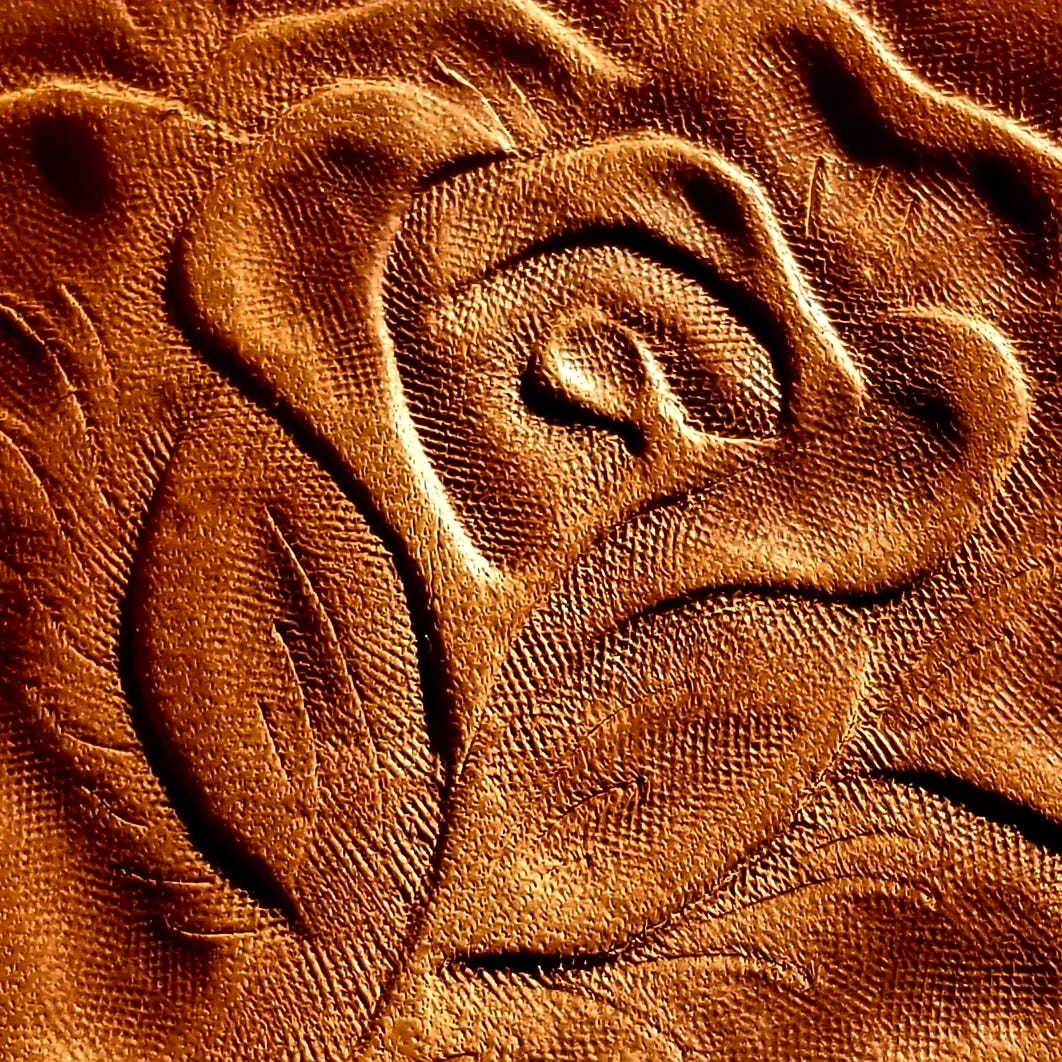 Artwork for The Desert Rose