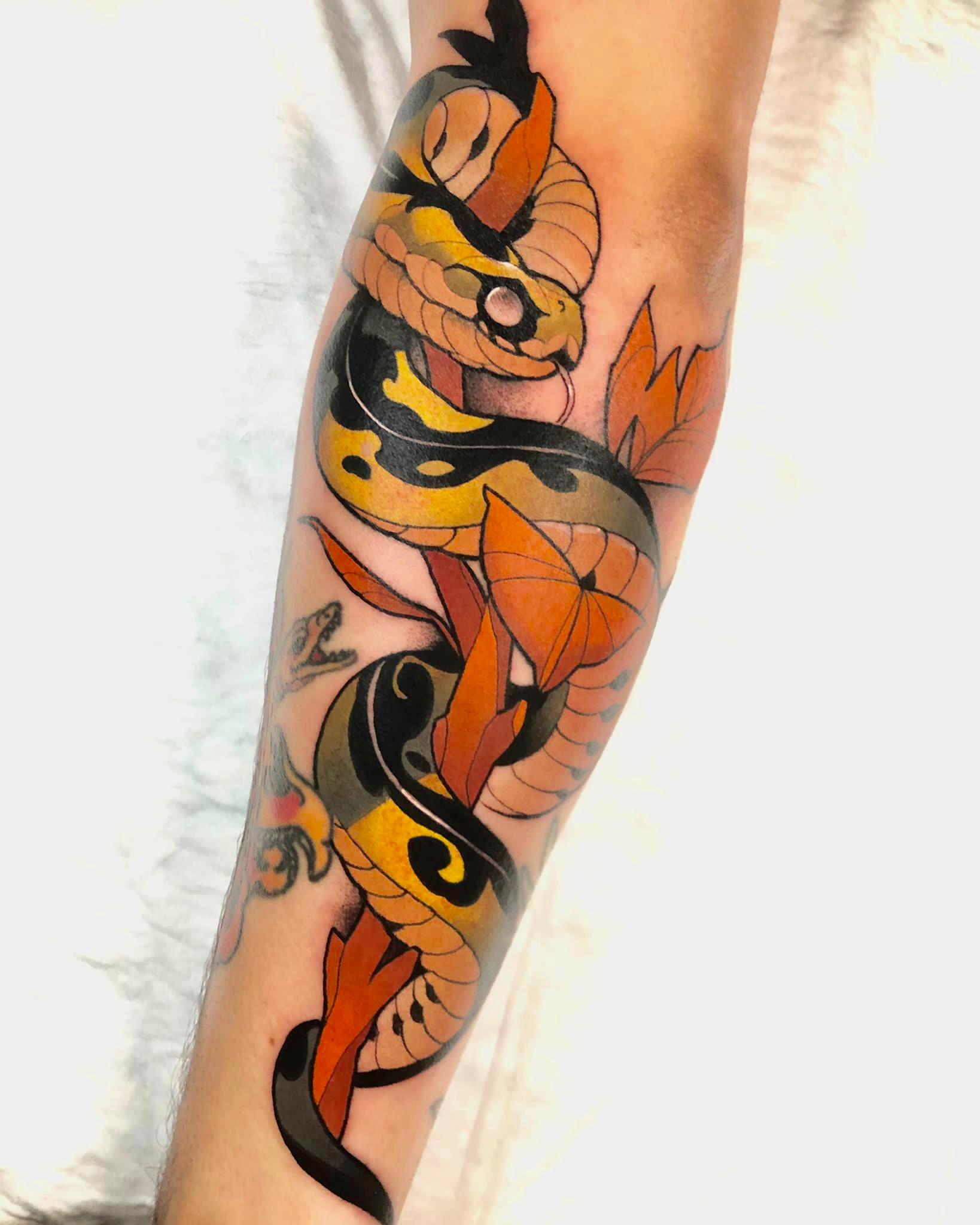 Electric  eel by joeycoxtattooer at blackpalmtattoo eeltattoo  nauticaltattoo electriceel  Instagram