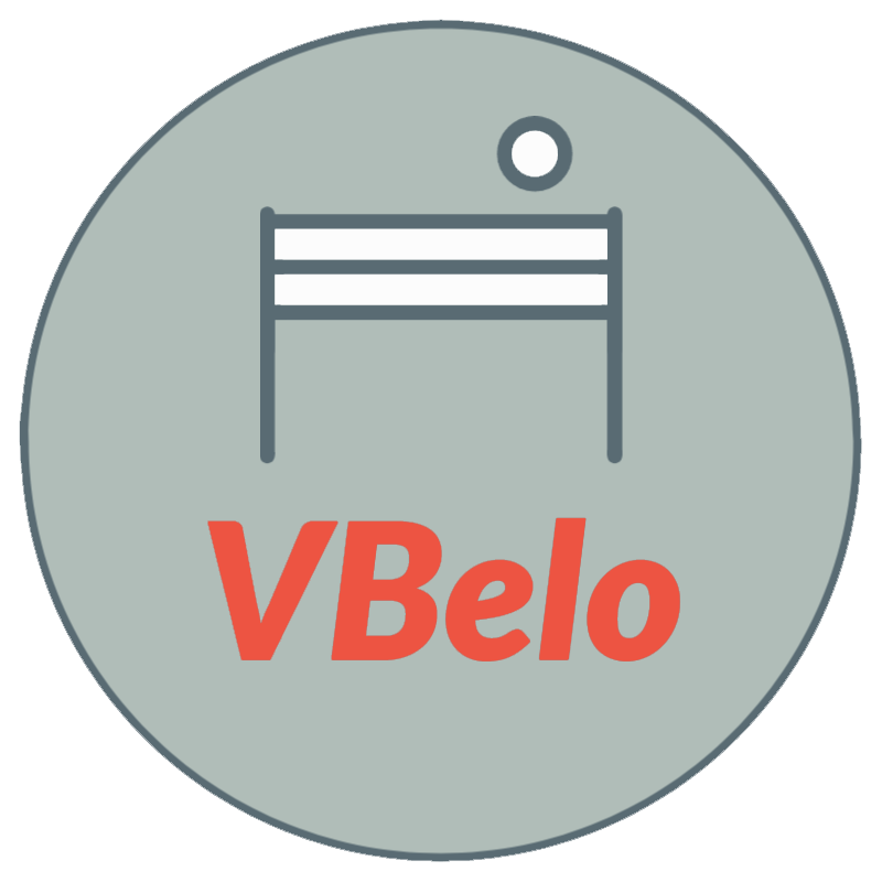 VBelo Report