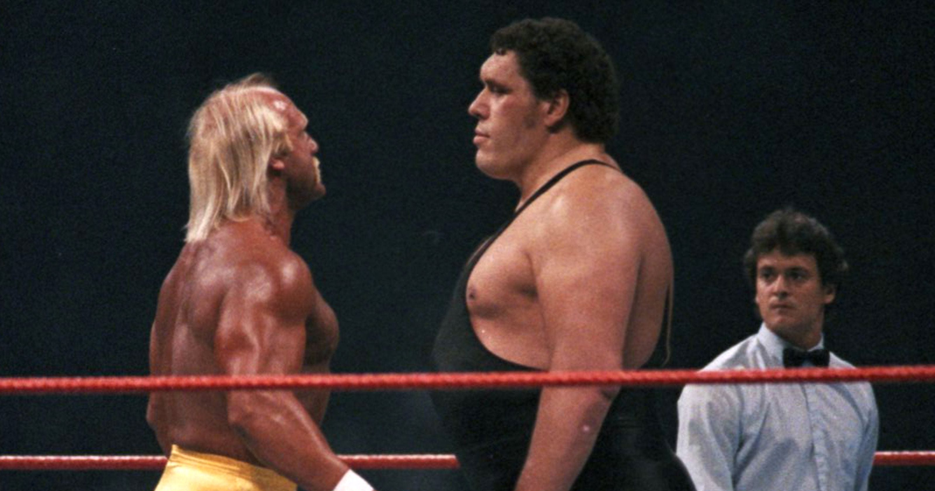The Eras of WWF/WWE