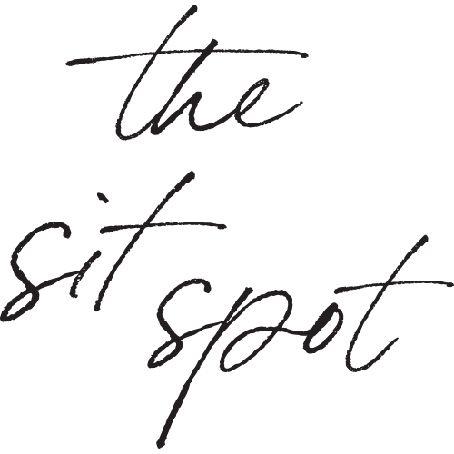 The Sit Spot