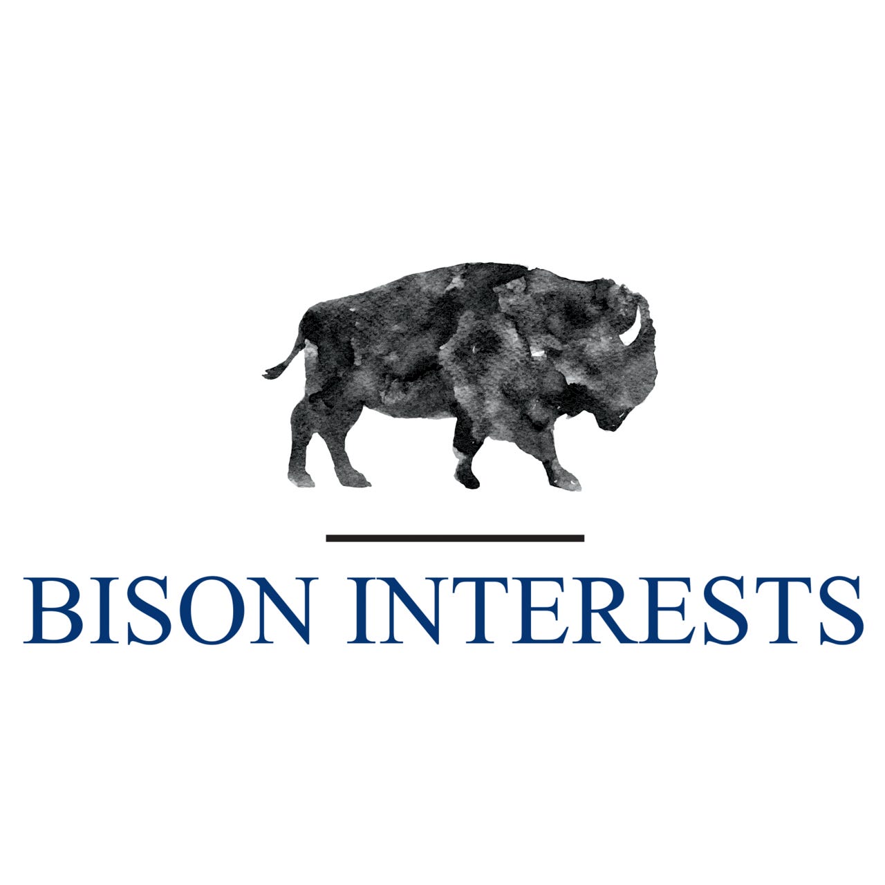 Artwork for Bison Interests