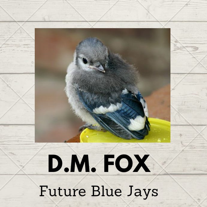 Artwork for Future Blue Jays Newsletter