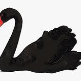Artwork for The Black Swan