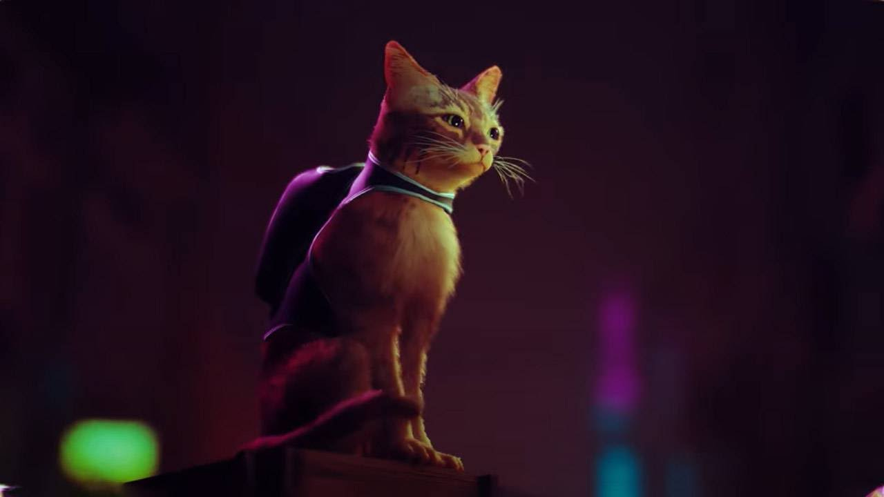 Stray is an upcoming PS5 game about a cat living among robots