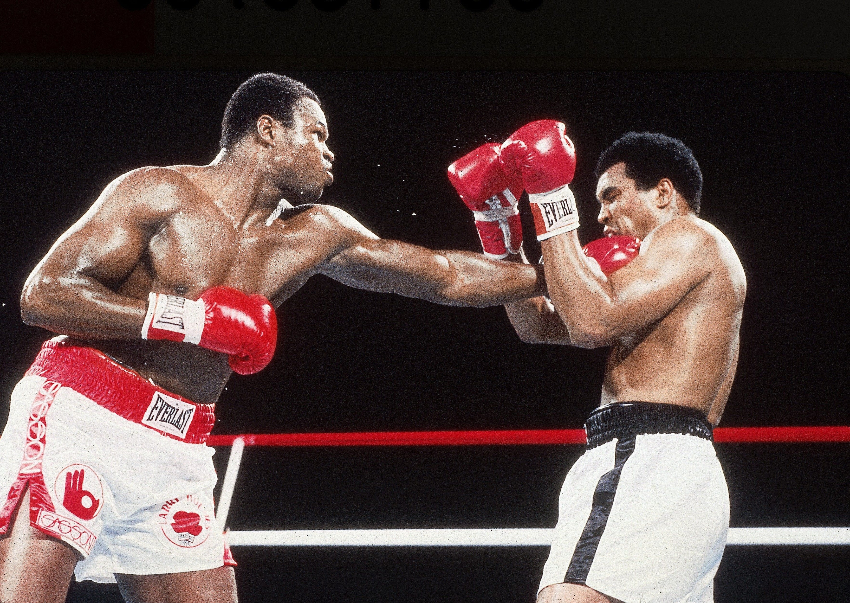  Undefeated! The Shadow Boxing Program for Parkinson's