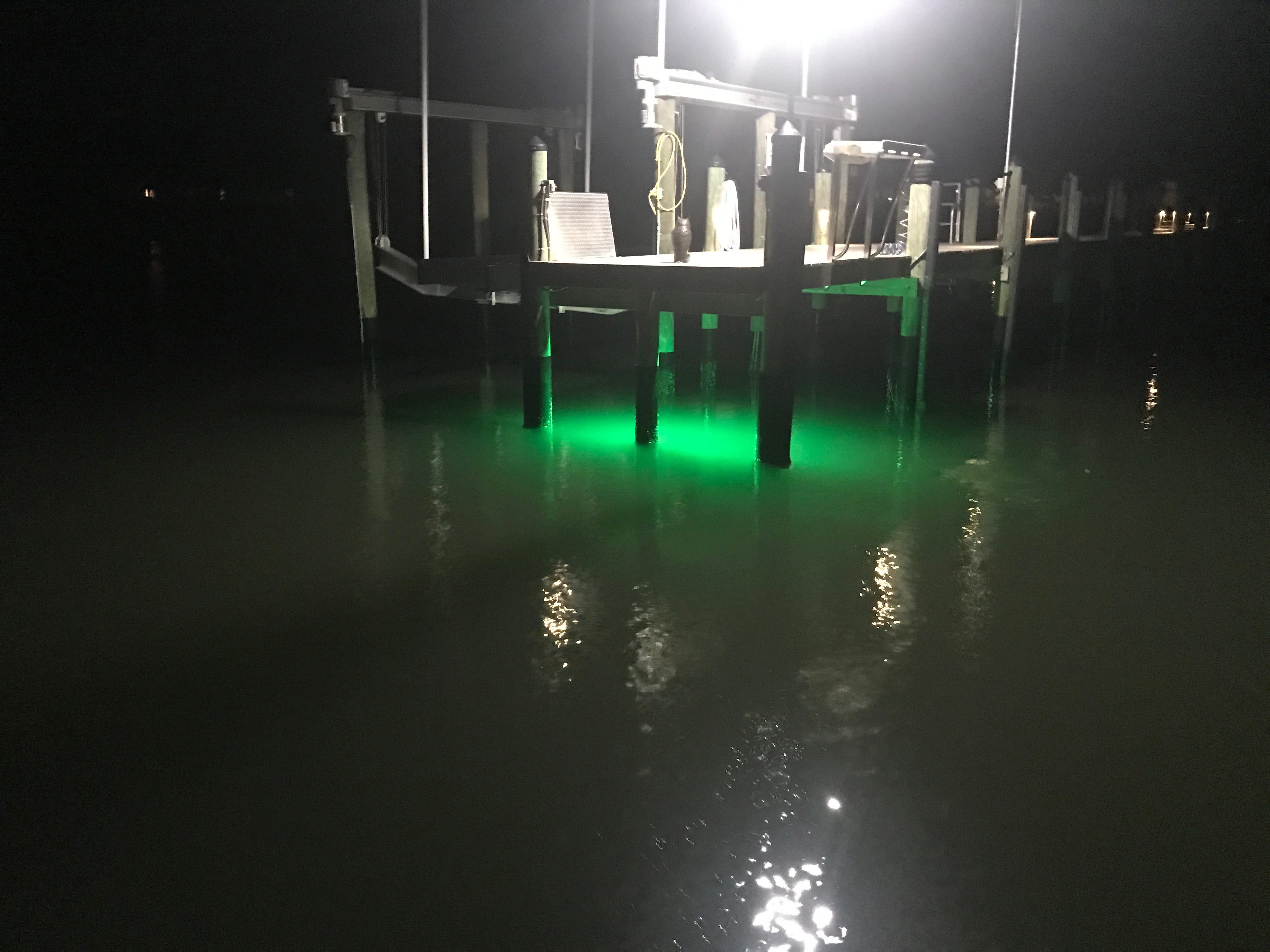 Blog] Snooking Around the Dock Lights - by Graves Fromang