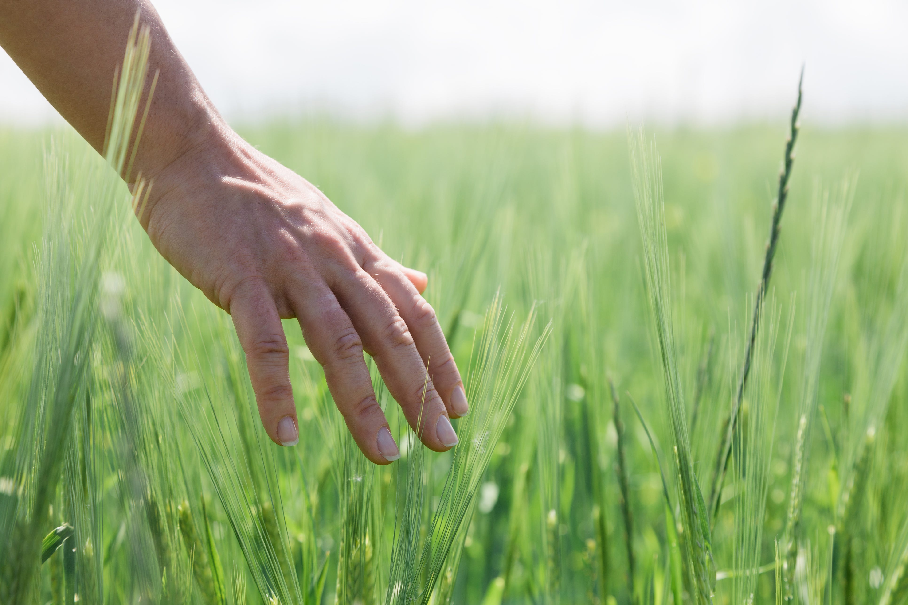 touching grass