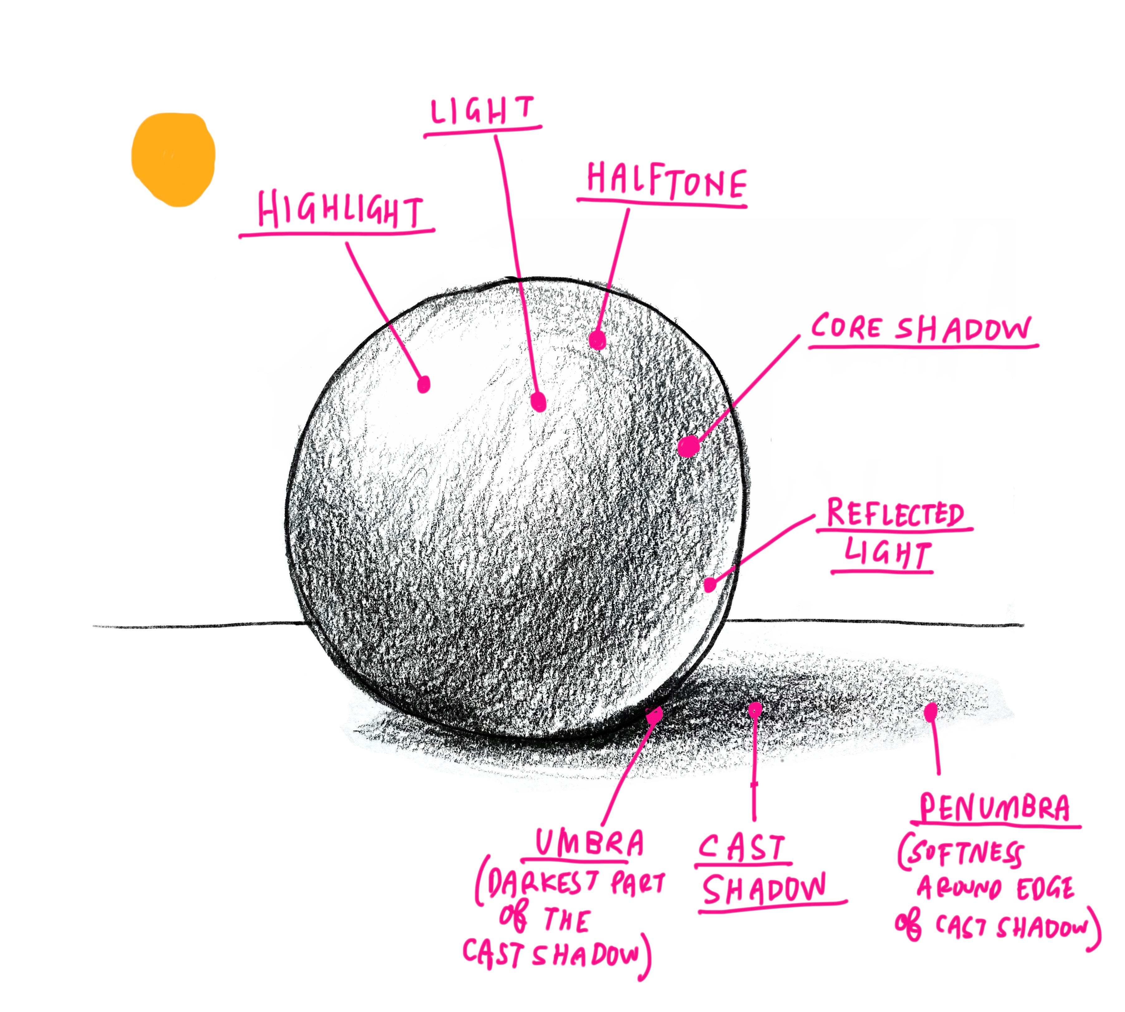 Seeing Light and Shadow | Shadow drawing, Light and shadow, Object drawing