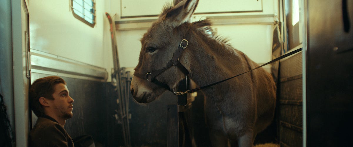 Série mexicana usa Bolsonaro como sinônimo de burro em cena