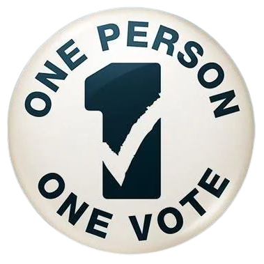 Artwork for One Person, One Vote
