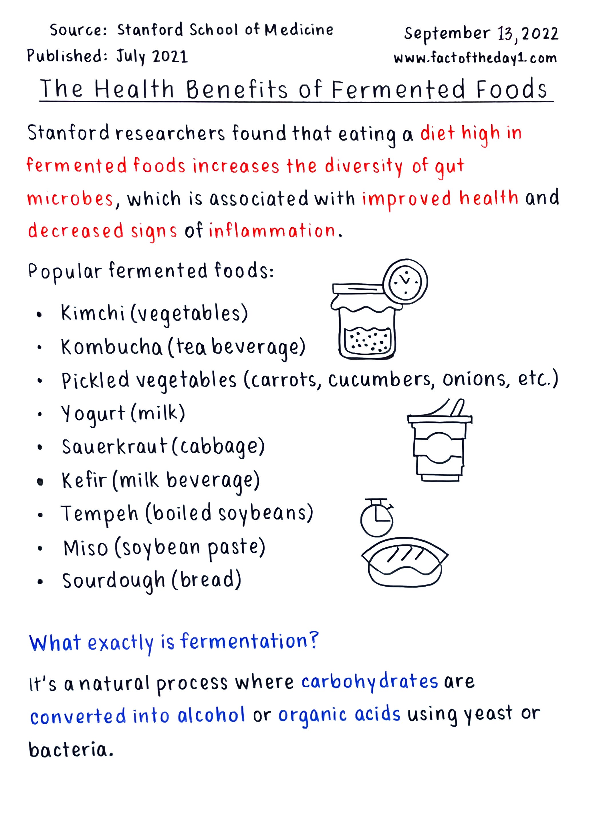 III. Health Benefits of Fermented Foods