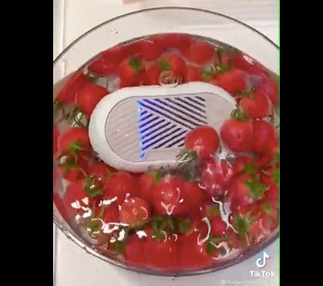 Portable Fruit Vegetable Machine à laver Capsule Shape Food