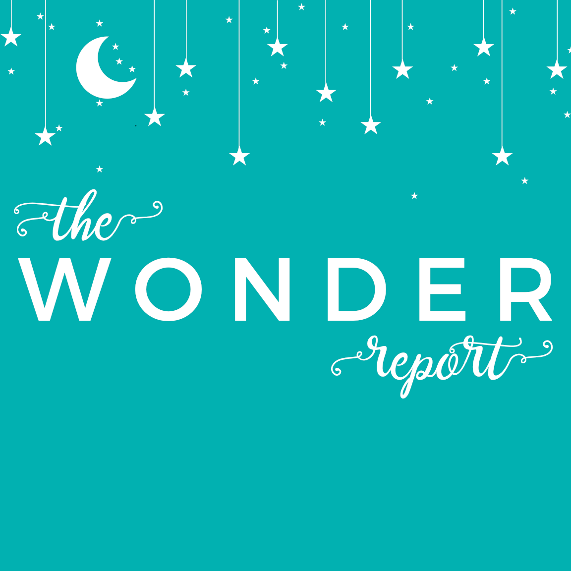 Artwork for The Wonder Report