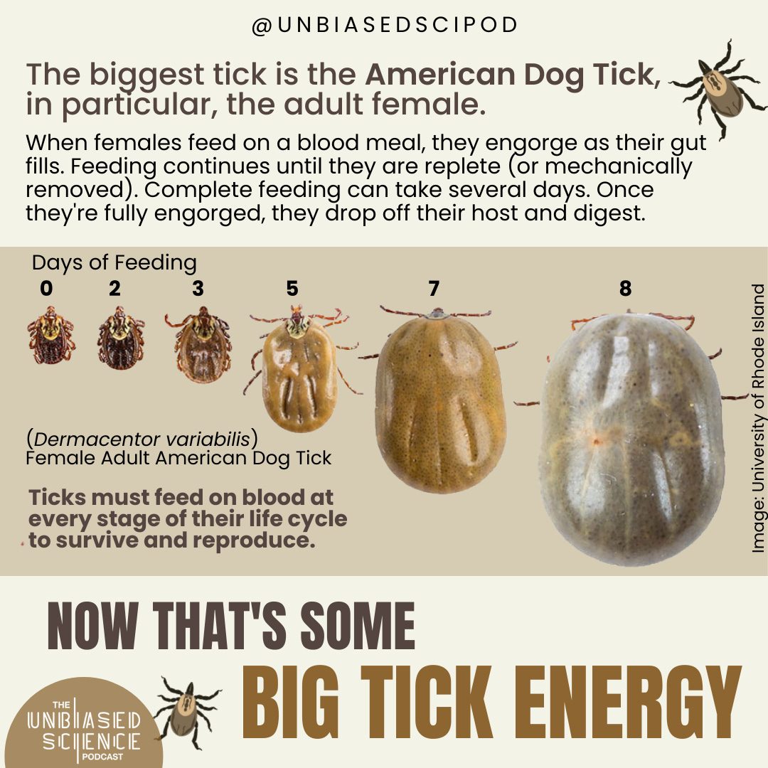 Big Tick Energy - The Unbiased Science Podcast