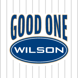Artwork for Good one, Wilson!