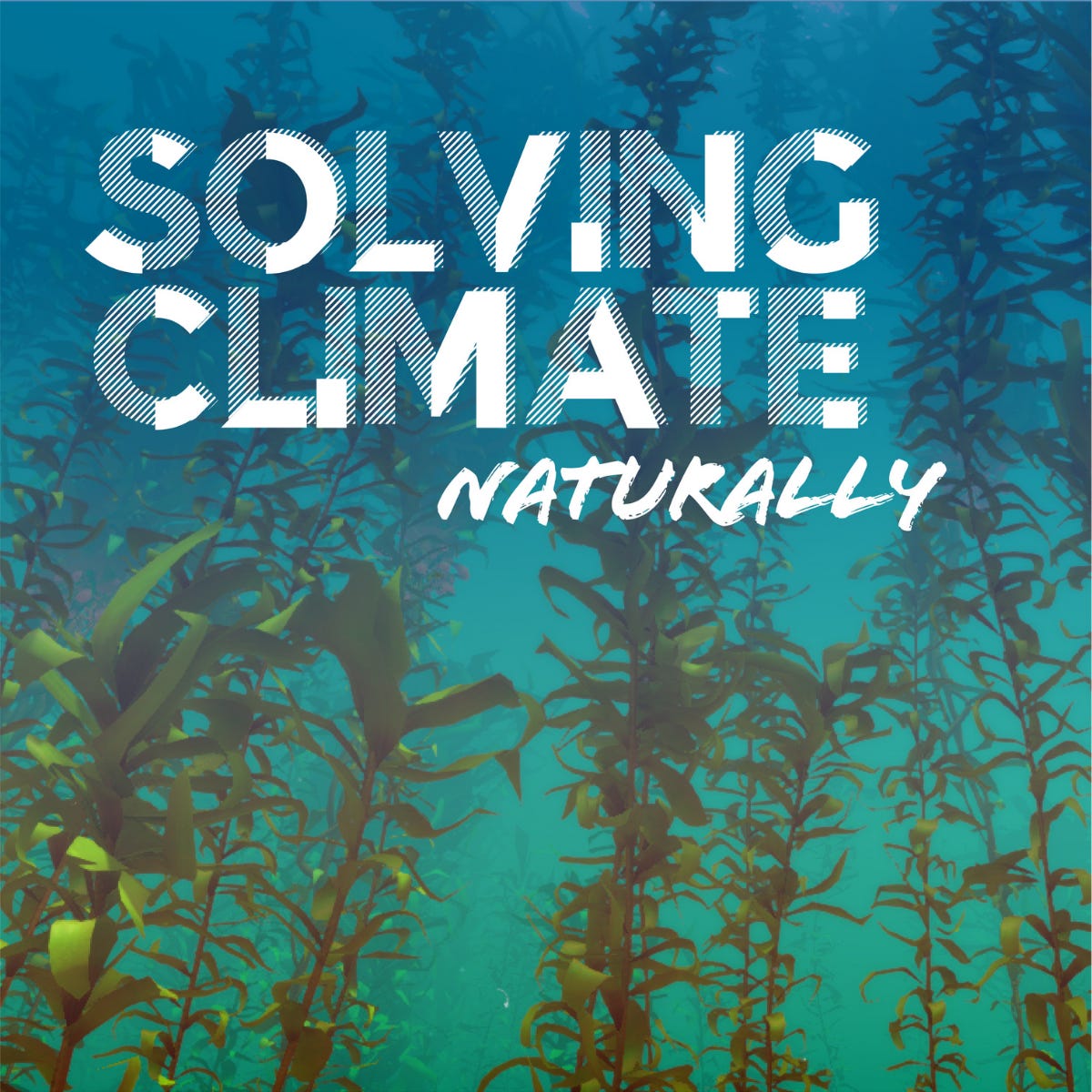 Artwork for Solving Climate, Naturally