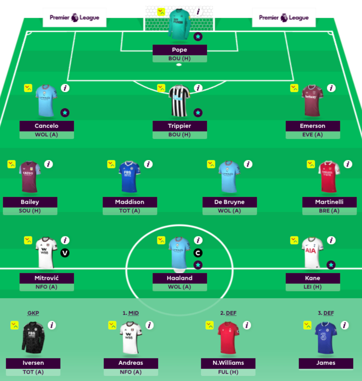 What is the FPL Wildcard and when can it be used?