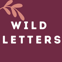 Artwork for Wild Letters
