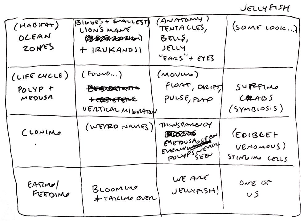 interesting anatomy topics