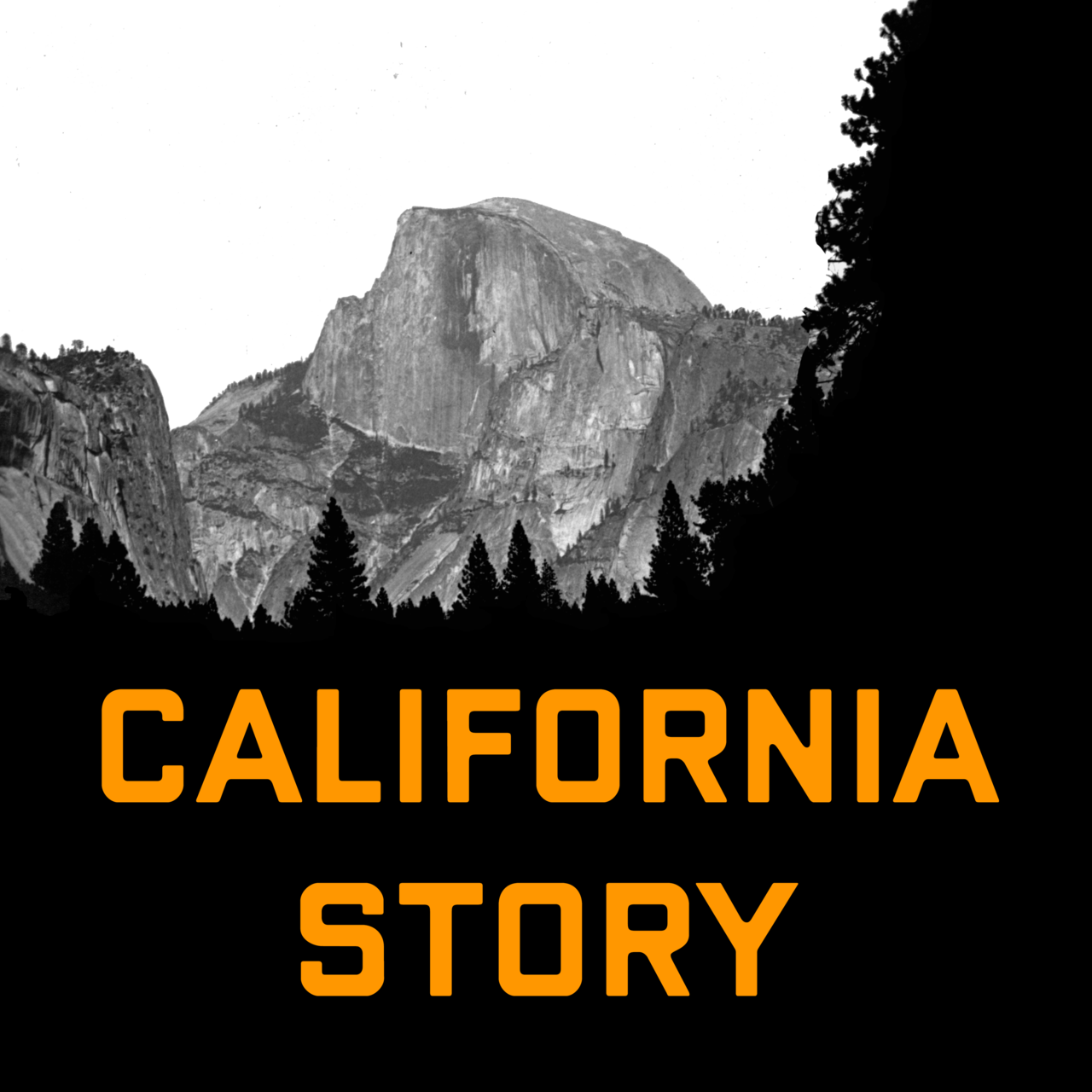 California Story: A Serial Memoir and Social History 