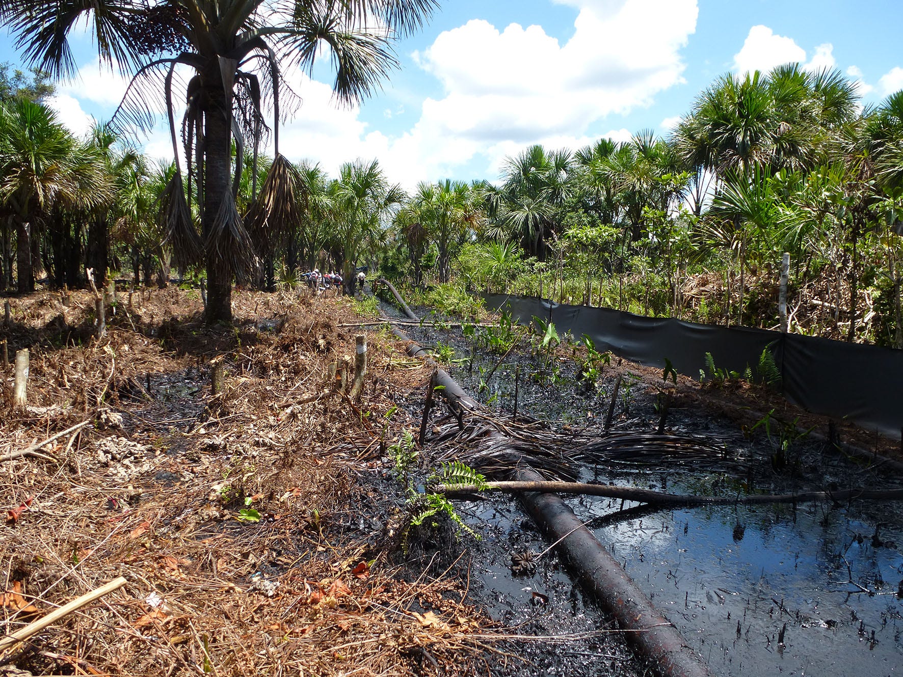 deforestation - BlackRock's Big Problem