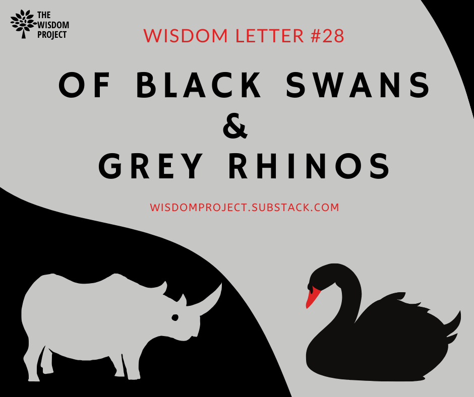 Forget About Black Swans; Worry About Gray Rhinos Instead