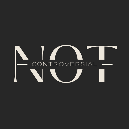 Artwork for Not Controversial