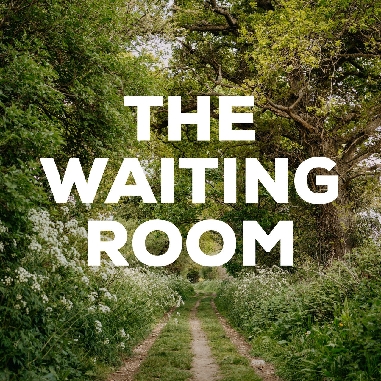 The Waiting Room logo