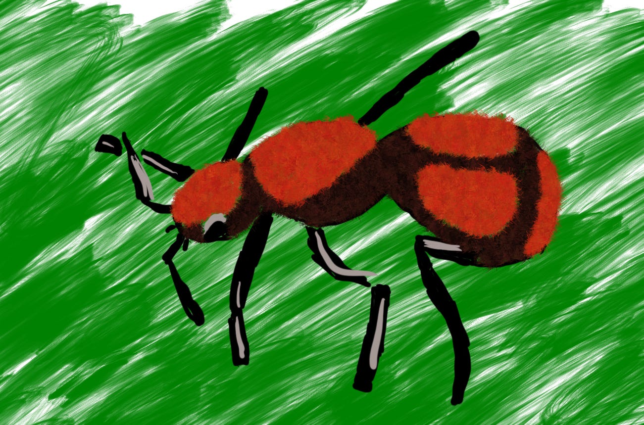 How To Draw An Ant. Do you have a passion for drawing and… | by Han Sumi |  Medium